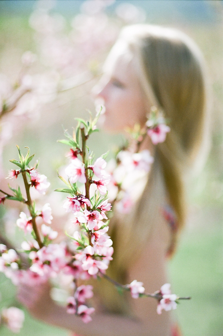 cherry-blossom-best-photo-portrait-pink