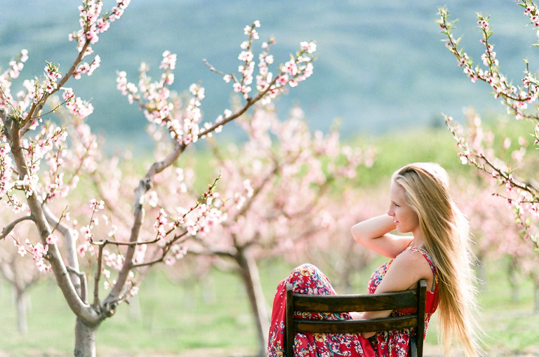 pink-cherry-blossom-orchard-wedding