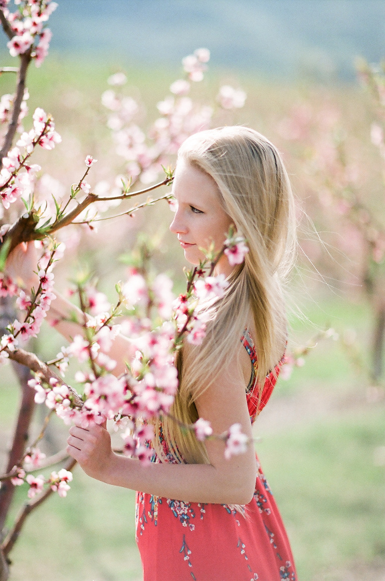 spring-cherry-blossom-photo