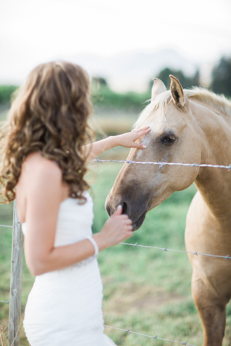 bride-horse-wedding-kalowna