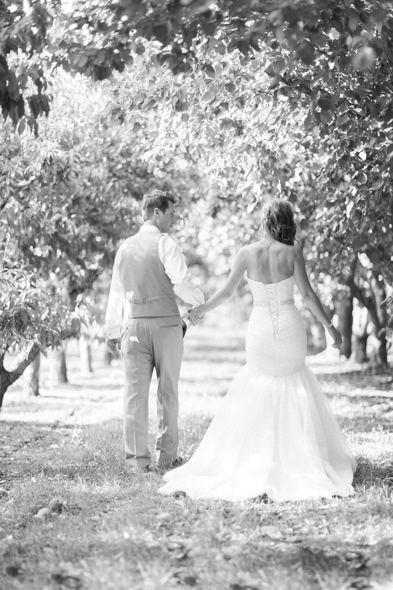 kelowna-apricot-trees-wedding-pictures