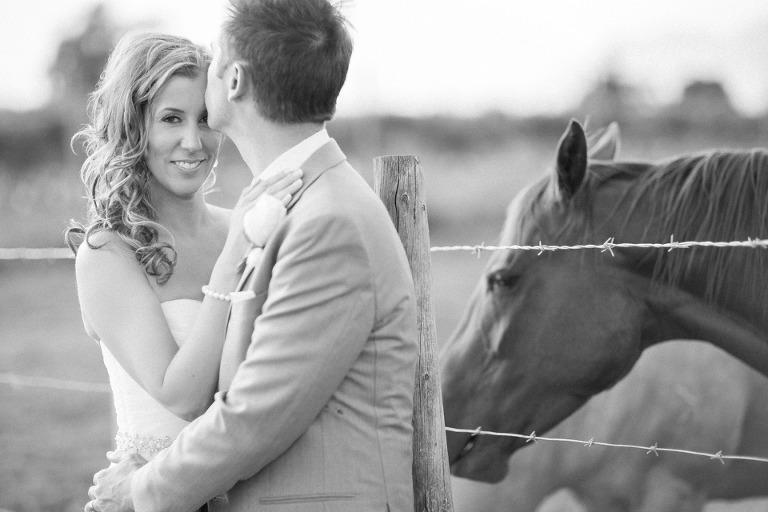 kelowna-horse-wedding-farm