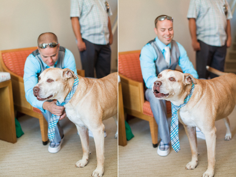 dog wearing tie wedding