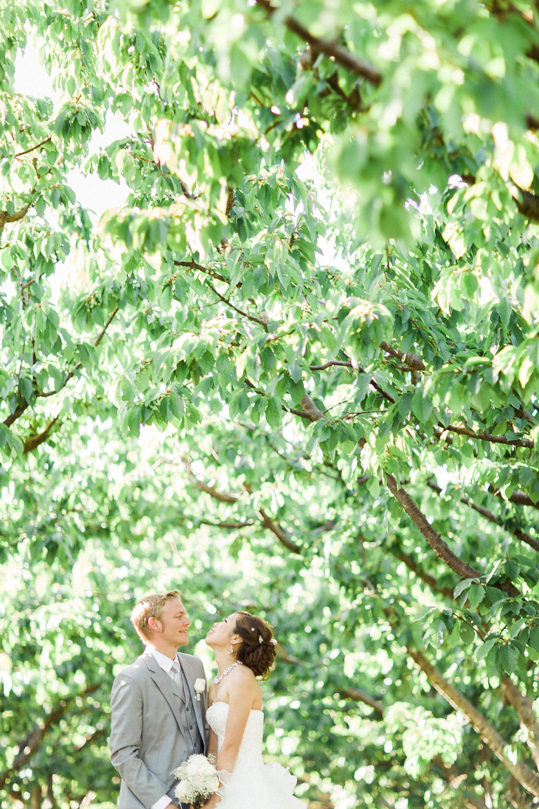 oliver cherry tree orchard wedding
