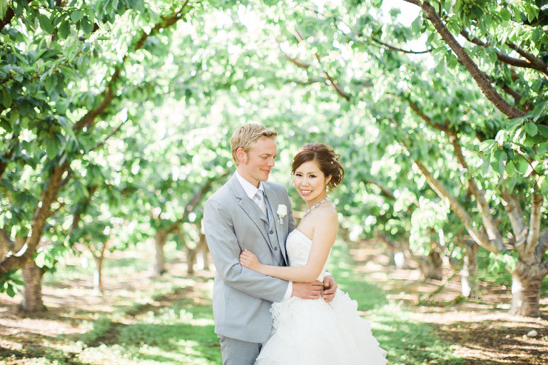 penticton cherry tree orchard wedding